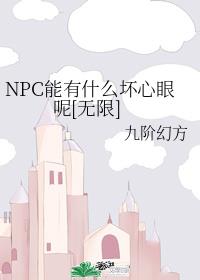 NPCʲô[]