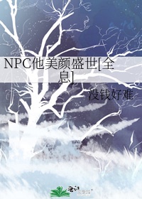 NPCʢ[ȫϢ]