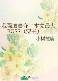 ǿȡ˱BOSS飩