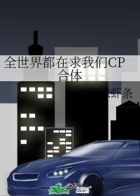 ȫ綼CP