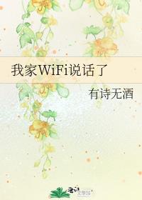 ҼWiFi˵